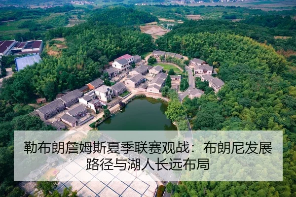勒布朗詹姆斯夏季联赛观战：布朗尼发展路径与湖人长远布局