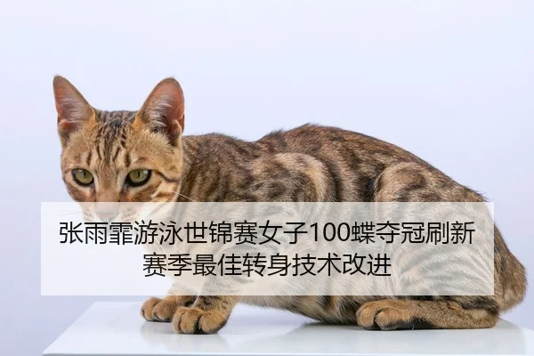 zhang-yu-fei-you-yong-shi-jin-sai-nv-zi-die-duo-guan-shua-xin-sai-ji-zui-jia-zhuan-shen-ji-shu-gai-jin-2-454.jpg